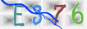 To prevent spam, please prove you are a real person by typing the characters you see in this box into the box below.