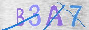 To prevent spam, please prove you are a real person by typing the characters you see in this box into the box below.