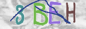To prevent spam, please prove you are a real person by typing the characters you see in this box into the box below.