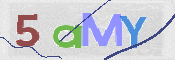 To prevent spam, please prove you are a real person by typing the characters you see in this box into the box below.