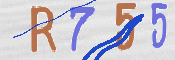 To prevent spam, please prove you are a real person by typing the characters you see in this box into the box below.