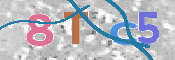 To prevent spam, please prove you are a real person by typing the characters you see in this box into the box below.
