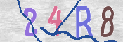 To prevent spam, please prove you are a real person by typing the characters you see in this box into the box below.