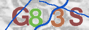 To prevent spam, please prove you are a real person by typing the characters you see in this box into the box below.