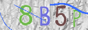 To prevent spam, please prove you are a real person by typing the characters you see in this box into the box below.