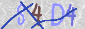 To prevent spam, please prove you are a real person by typing the characters you see in this box into the box below.