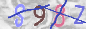 To prevent spam, please prove you are a real person by typing the characters you see in this box into the box below.