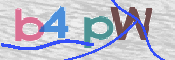 To prevent spam, please prove you are a real person by typing the characters you see in this box into the box below.