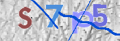 To prevent spam, please prove you are a real person by typing the characters you see in this box into the box below.