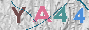 To prevent spam, please prove you are a real person by typing the characters you see in this box into the box below.