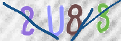 To prevent spam, please prove you are a real person by typing the characters you see in this box into the box below.