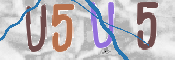 To prevent spam, please prove you are a real person by typing the characters you see in this box into the box below.