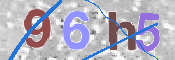 To prevent spam, please prove you are a real person by typing the characters you see in this box into the box below.