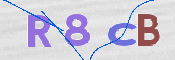 To prevent spam, please prove you are a real person by typing the characters you see in this box into the box below.