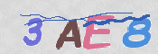 To prevent spam, please prove you are a real person by typing the characters you see in this box into the box below.