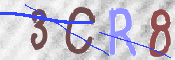 To prevent spam, please prove you are a real person by typing the characters you see in this box into the box below.