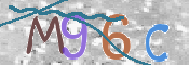To prevent spam, please prove you are a real person by typing the characters you see in this box into the box below.