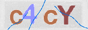 To prevent spam, please prove you are a real person by typing the characters you see in this box into the box below.