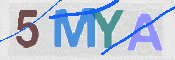 To prevent spam, please prove you are a real person by typing the characters you see in this box into the box below.