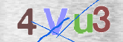 To prevent spam, please prove you are a real person by typing the characters you see in this box into the box below.