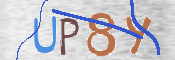To prevent spam, please prove you are a real person by typing the characters you see in this box into the box below.