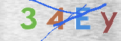 To prevent spam, please prove you are a real person by typing the characters you see in this box into the box below.