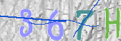 To prevent spam, please prove you are a real person by typing the characters you see in this box into the box below.