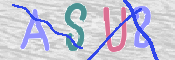 To prevent spam, please prove you are a real person by typing the characters you see in this box into the box below.