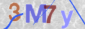 To prevent spam, please prove you are a real person by typing the characters you see in this box into the box below.