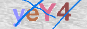 To prevent spam, please prove you are a real person by typing the characters you see in this box into the box below.