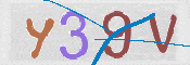 To prevent spam, please prove you are a real person by typing the characters you see in this box into the box below.