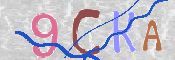 To prevent spam, please prove you are a real person by typing the characters you see in this box into the box below.