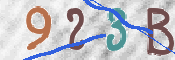 To prevent spam, please prove you are a real person by typing the characters you see in this box into the box below.