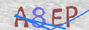 To prevent spam, please prove you are a real person by typing the characters you see in this box into the box below.