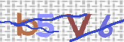 To prevent spam, please prove you are a real person by typing the characters you see in this box into the box below.