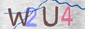 To prevent spam, please prove you are a real person by typing the characters you see in this box into the box below.