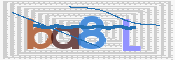 To prevent spam, please prove you are a real person by typing the characters you see in this box into the box below.