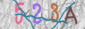 To prevent spam, please prove you are a real person by typing the characters you see in this box into the box below.