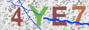 To prevent spam, please prove you are a real person by typing the characters you see in this box into the box below.