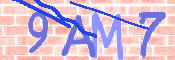 To prevent spam, please prove you are a real person by typing the characters you see in this box into the box below.