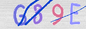 To prevent spam, please prove you are a real person by typing the characters you see in this box into the box below.