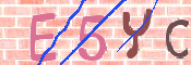 To prevent spam, please prove you are a real person by typing the characters you see in this box into the box below.