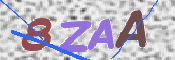 To prevent spam, please prove you are a real person by typing the characters you see in this box into the box below.