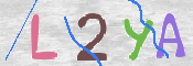 To prevent spam, please prove you are a real person by typing the characters you see in this box into the box below.