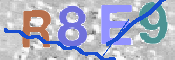 To prevent spam, please prove you are a real person by typing the characters you see in this box into the box below.
