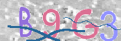 To prevent spam, please prove you are a real person by typing the characters you see in this box into the box below.