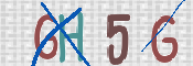To prevent spam, please prove you are a real person by typing the characters you see in this box into the box below.