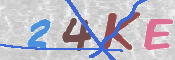 To prevent spam, please prove you are a real person by typing the characters you see in this box into the box below.