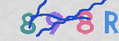 To prevent spam, please prove you are a real person by typing the characters you see in this box into the box below.