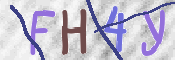 To prevent spam, please prove you are a real person by typing the characters you see in this box into the box below.